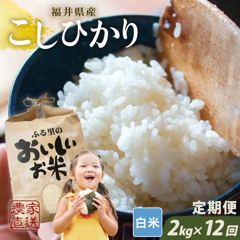 先行予約 定期便 12ヶ月連続お届け コシヒカリ 2kg (1袋) × 12回 計24kg 白米 ブランド米 2026年10月上旬以降順次発送 [E-8920]