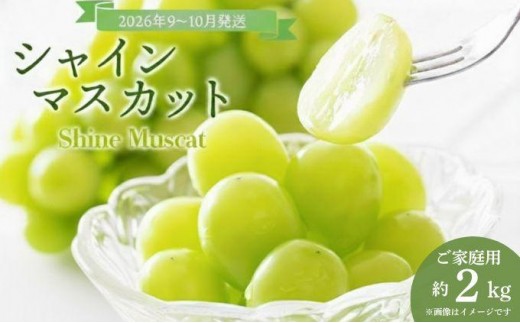 10月発送 ご家庭用 シャインマスカット 2kg箱 【029-a013】