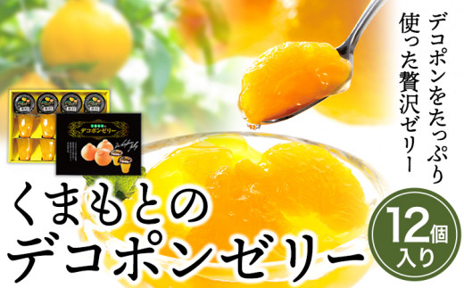 くまもとのデコポンゼリー（12個入）《30日以内に出荷予定(土日祝除く)》熊本県 葦北郡 津奈木町 あしきた農業協同組合 JAあしきた 柑橘 デコポン フルーツ 果物 ゼリー ギフト 包装 送料無料