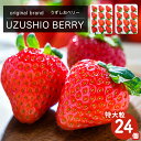 【ふるさと納税】【 予約受付中・2024年12月頃より順次発送 】フルーツガーデンやまがたのいちご「うずしおベリー」約900g 特大粒24個 苺 いちご イチゴ 紅ほっぺ 果物 フルーツ 送料無料 徳島 鳴門 農家直送 ギフト 甘い 旬 数量限定