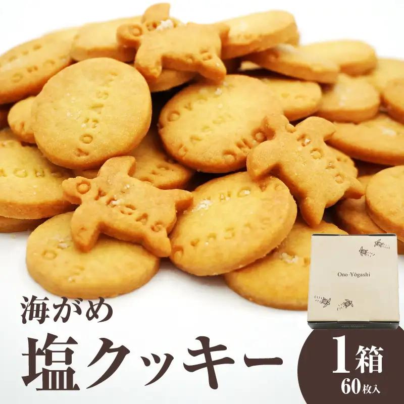 海がめ塩クッキー充実BOX (57枚+子がめクッキー3枚) 箱入り J01018