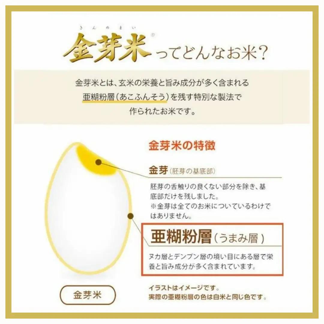 【2026年米 先行予約】金芽米 生坂村産コシヒカリ 無洗米 10kg(5kg×2袋) 長野県産 | コシヒカリ