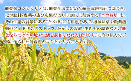 【新米】のと米（新米/精米10kg）｜米 こしひかり コシヒカリ 能登 のと お米 令和7年産