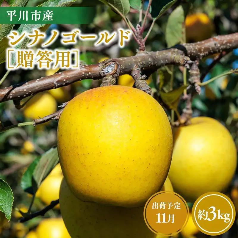 りんご 贈答用 シナノゴールド3kg りんご