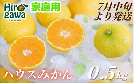 ハウスみかん 0.5kg+250g(傷み補償) 家庭用 / ハウスミカン 温室みかん 有田みかん 甘い 和歌山 柑橘 ※7月中旬～8月下旬に順次発送 ※北海道・沖縄・離島への配送不可 【ikd002-