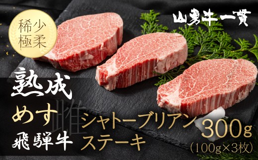熟成めす飛騨牛【山勇牛】シャトーブリアン ステーキ 100g×3　30日以上熟成 ステーキ 肉 和牛 熟成 熟成肉 熨斗掛け ギフト冷凍 飛騨市 ステーキ お祝い パーティー 高級