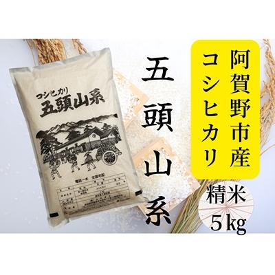 ふるさと納税 阿賀野市 【令和7年産】コシヒカリ5kg「米屋のこだわり阿賀野市産」