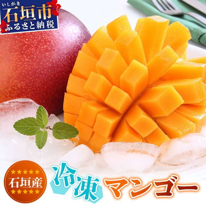 【ふるさと納税】石垣島産 冷凍マンゴー 約3kg 4～10玉 | マンゴー アーウィンマンゴー 完熟マンゴー 冷凍 フローズン 果物 フルーツ 果実 国産 ギフト 贈答用 沖縄県 石垣市 石垣島 産地直送 人気 送料無料 OT-11