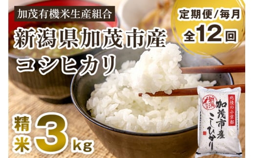 【令和7年産新米先行予約】【定期便12ヶ月毎月お届け】新潟県加茂市産コシヒカリ 精米3kg《10月中旬から順次出荷》白米 加茂有機米生産組合 定期便