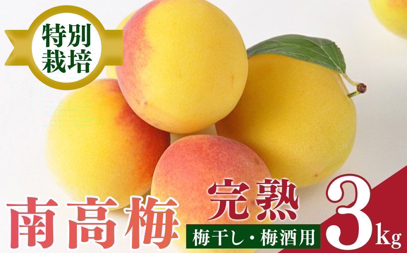 
            【堀内果実園】奈良県産 特別栽培 大切に育てた南高梅(完熟・梅干し用）3kg | 果実 かじつ 梅 うめ 南高梅 なんこうばい 奈良県 五條市 完熟 梅干し
          