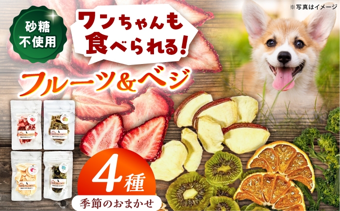 
                  ＜砂糖不使用＞季節のワンだフルーツ＆ベジ4種 / ドライフルーツ ベジタブル 国産 無添加 いちご とうもろこし りんご 柿 ブロッコリー 小分け / 恵那市 / サンフレンズ [AUFL003]
                
