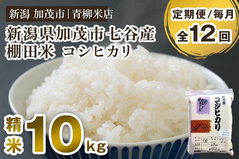 
                  【令和8年産新米先行予約】【定期便12ヶ月毎月お届け】新潟産コシヒカリ 加茂市七谷産 棚田米 精米10kg（5kg×2）《9月下旬～順次出荷》 白米 真空パック 青柳米店 定期便
                