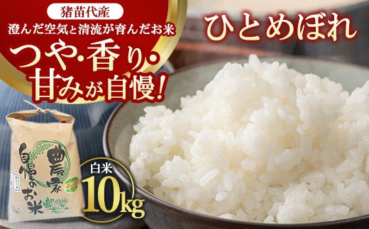 令和7年度産 ひとめぼれ 10kg ｜ 白米 内野ファーム直送 猪苗代の清らかな水で育った 自慢の ひとめぼれ ※沖縄・離島への配送不可