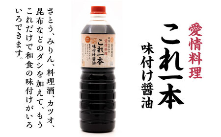【全12回】味付け醤油 1L×2本 濱口醤油[XAA037]