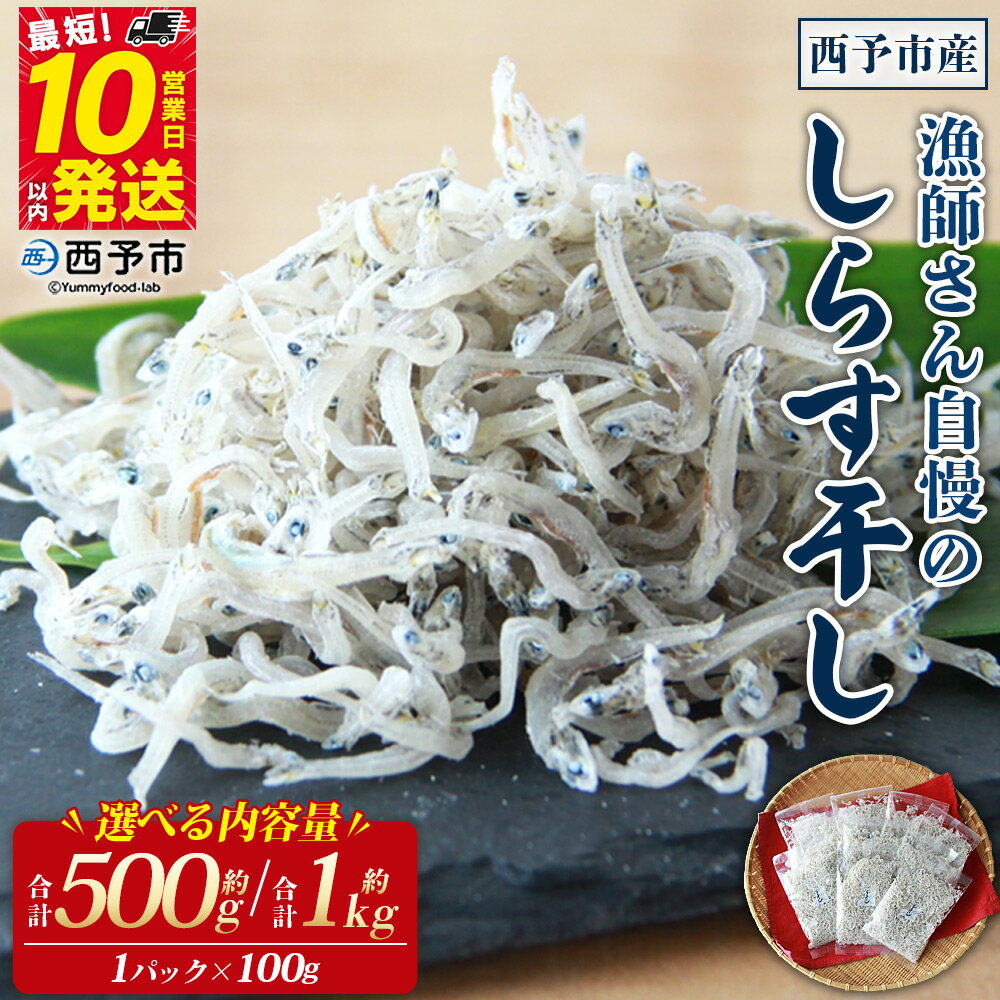 【ふるさと納税】＜漁師さん自慢のしらす干し 合計500g/1kg（1パック100g入り）＞ シラス 魚介類 さかな 海産物 海鮮 海の幸 小分け 国産 ご飯のお供 丼 おつまみ 晩酌 おかず おやつ 特産品 産地直送 濱田水産 愛媛県 西予市 【冷凍】『最短10営業日以内に順次発送予定』
