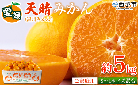 ＜愛媛県明浜産 天晴みかん（温州みかん）約5kg S～L混合＞ 家庭用 訳あり ワケアリ 果物 くだもの フルーツ ミカン 柑橘 特産品 笑丸 愛媛県 西予市【常温】『2026年11月中旬～2027年1月上旬迄に順次出荷予定』AAN0009
