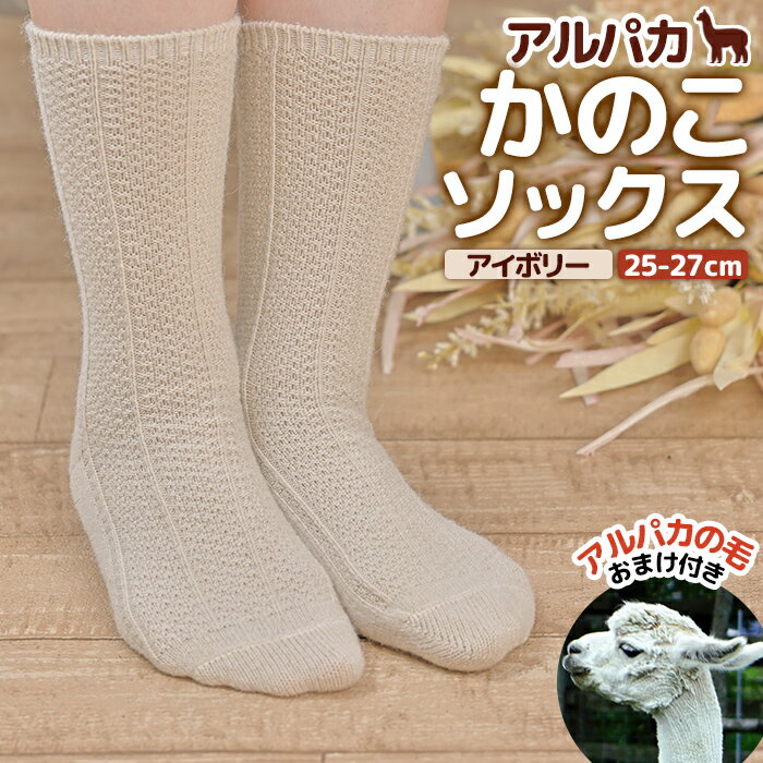 【ふるさと納税】アルパカかのこソックスアイボリー　25-27cm【190077】