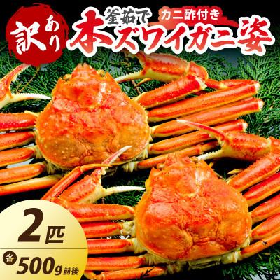 ふるさと納税 京丹後市 【大好評!カニ酢付き】訳あり!釜茹で!本ずわいがに姿 2匹(500g前後×2匹)