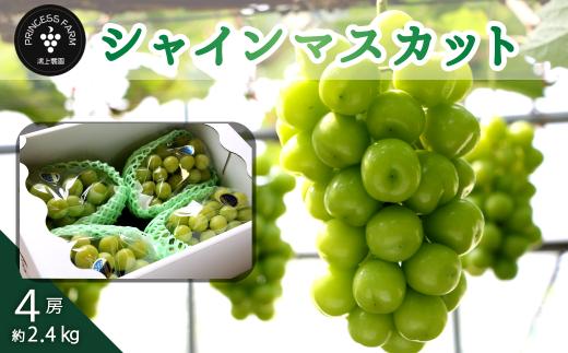 【先行予約】シャインマスカット （4房・約2.4kg）  2025年9月～10月発送予定　農園直送 産地直送 愛媛県西条市産 シャインマスカット ぶどう