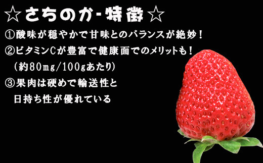 ビタミンCが最も豊富な品種の苺「さちのか」