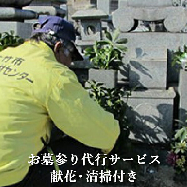 【ふるさと納税】お墓参り代行サービス 献花・清掃付き 故郷はまかせて！お墓を代わりにお参り｜墓参り代行 お参り 清掃代行 墓掃除 墓守り お墓見守り 1基 墓石 ご先祖 供養 遠方 帰省 故郷 広島 [1436]