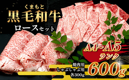 A4・A5 くまもと黒毛和牛 ロース セット 計600g ( すき焼き / 焼肉 各300g ) 本場 熊本県 ブランド 牛 黒毛 和牛 厳選 A4 等級以上 肉 上質 熊本県