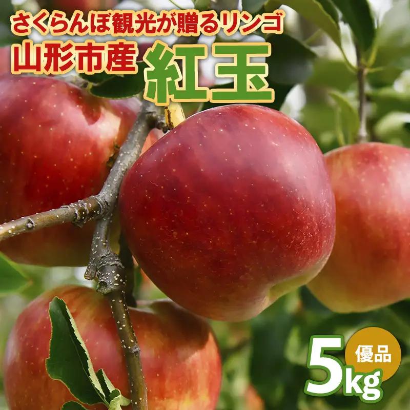 さくらんぼ観光が贈るリンゴ  紅玉 こうぎょく 優 5kg  FY26-040