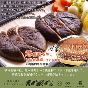 芳醇な香り＆超肉厚 愛媛県産原木椎茸「霧源（MUgEN）」 NYJ0001