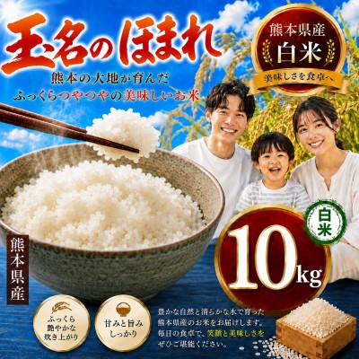 ふるさと納税 玉名市 【毎月定期便】熊本県産 玉名のほまれ(白米) 10kg全6回