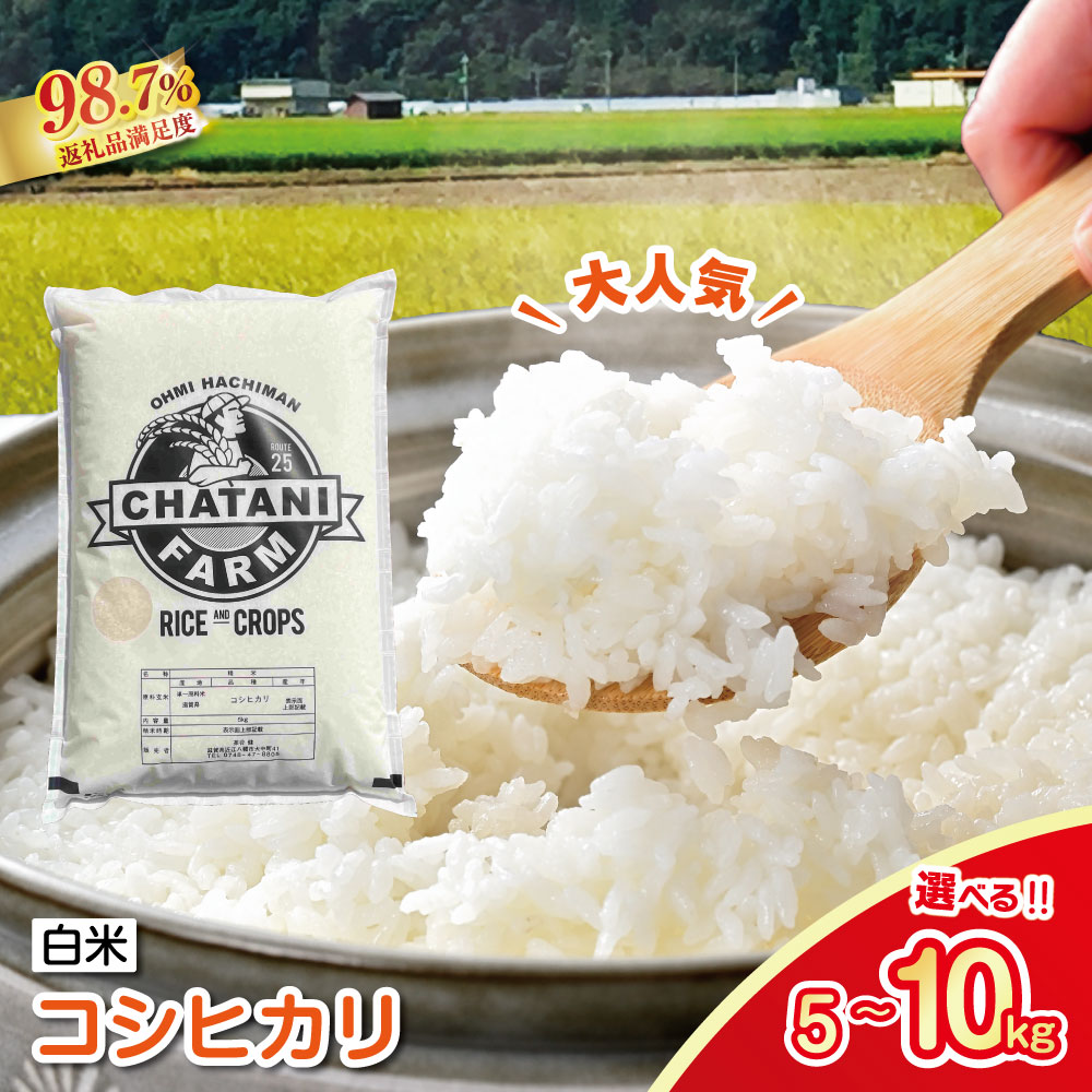【ふるさと納税】【新米】令和8年産 近江米 コシヒカリ 白米 5kg / 10kg / 20kg 選べる 滋賀県産 茶谷ファーム 御中元 お中元