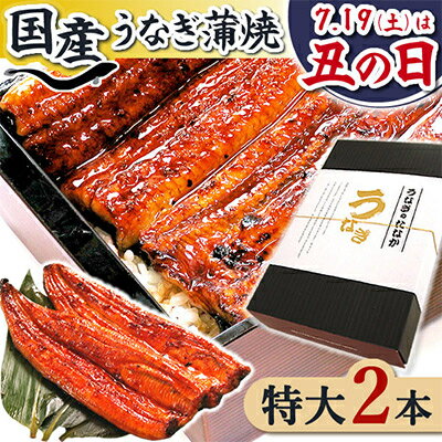 【ふるさと納税】浜名湖・うなぎのたなかの長蒲2本ギフト!ふっくら柔らか♪国産うなぎ長蒲焼※合計360g程度_ ウナギ 鰻 うなぎ かば焼き 蒲焼き 人気 美味しい 国産 浜名湖 産地直送 個包装 ギフト 贈答 専門店 冷凍 【配送不可地域：離島】【1417592】