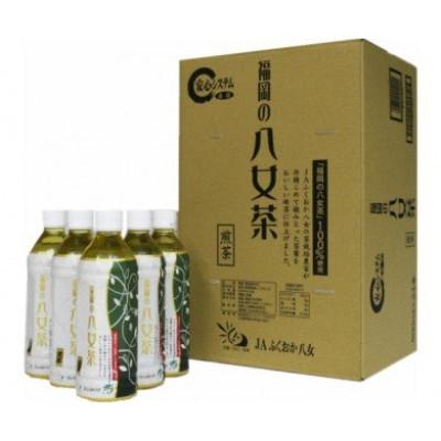 ふるさと納税 大川市 八女茶 煎茶ペットボトル 500ml×24本(大川市)