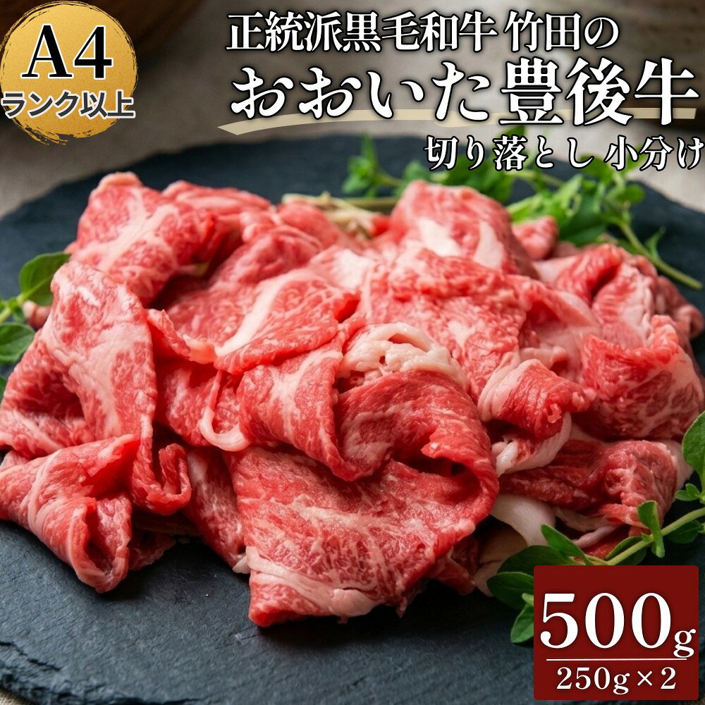 【ふるさと納税】正統派黒毛和牛 おおいた豊後牛 切り落とし 500g 小分け