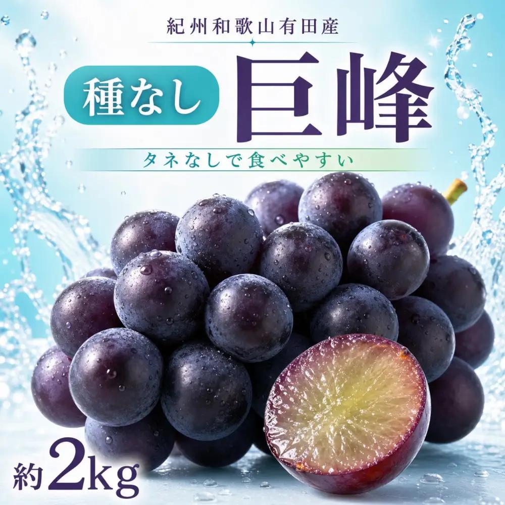 紀州有田産の種なし巨峰ぶどう約２kg【先行予約】【2026年8月中旬以降発送予定】  巨峰