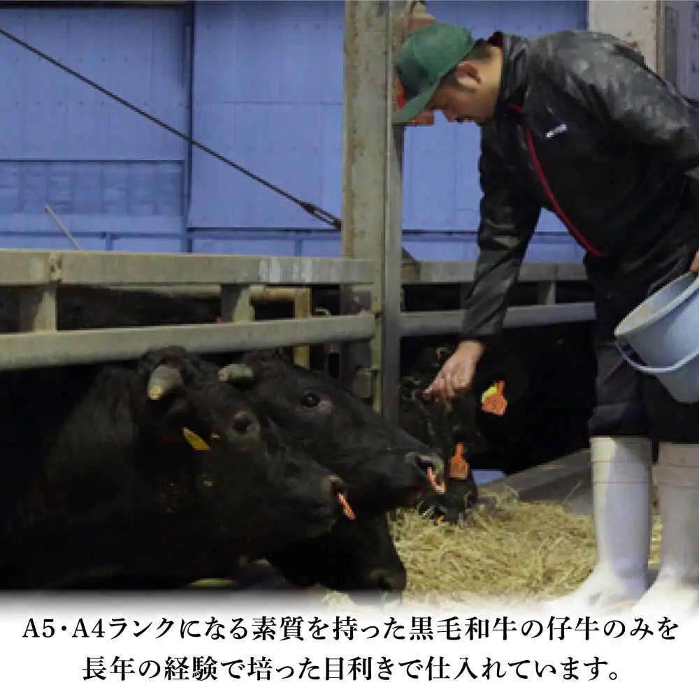 くまもと黒毛和牛「藤彩牛」バラ(カルビ)焼き肉用 約400g 焼肉 BHAD121