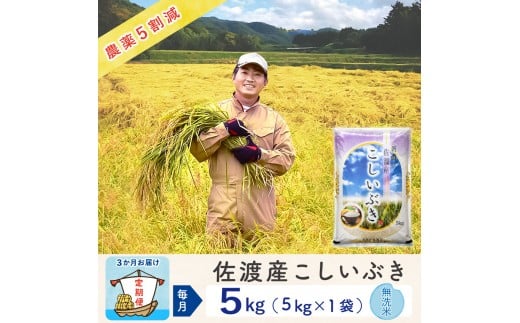 【3か月定期便】佐渡島産こしいぶき 無洗米5Kg 令和7年 ～農薬5割減～ 農家直送