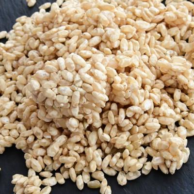 ふるさと納税 宇治田原町 京都・喜右衛門の有機「発芽玄米生麹」1kg(500g×2)真空パック |  | 01