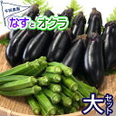 【ふるさと納税】 先行予約 夏野菜 詰め合わせ 大セット なす おくら 野菜 茄子 ナス オクラ 産地直送 天敵栽培 【2025年7月以降順次発送】