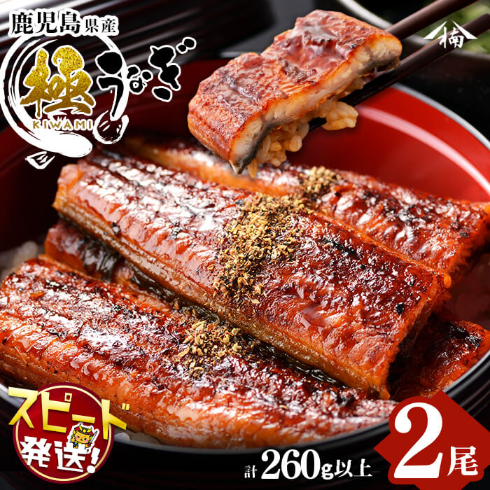 【ふるさと納税】楠田の極うなぎ蒲焼き130g以上×2尾(計260g以上) 山椒付たれ 鰻 ウナギ 蒲焼 うな重 ひつまぶし 鹿児島 冷凍 おかず お祝い【楠田淡水】a4-093