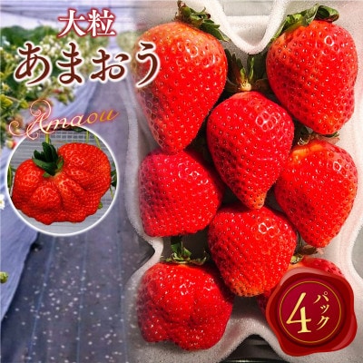 【2027年2月より順次発送】厳選大粒あまおう(約250-270g×4パック)(宇美町)【配送不可地域：離島】