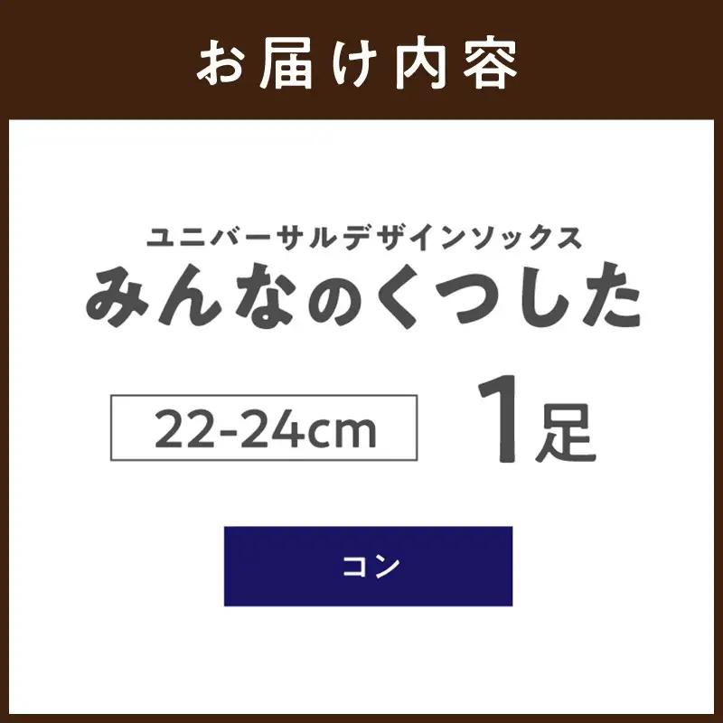 みんなのくつした 1足(22-24cm)【コン】【2500T16802_02】