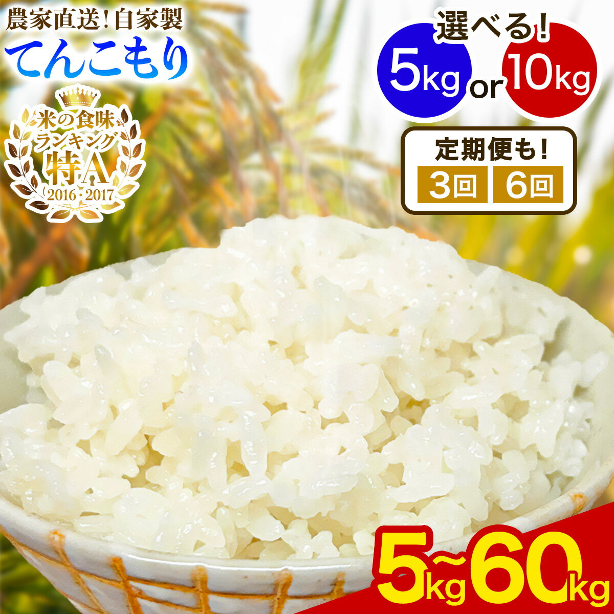 【ふるさと納税】新米 [令和7年産] 伊勢原産 精米5kg／10kg てんこもり 農家直送！加藤さんちのうんめぇ！自家製米 選べる内容量｜先行予約 お米 おこめ コメ 白米 神奈川 伊勢原 [0525-0527]