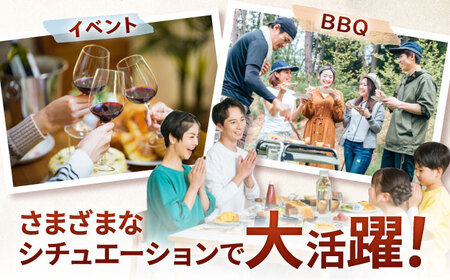 厳選佐賀牛ヒレ1本5kg / ヒレ ヒレ ヒレ ヒレ ヒレ ヒレ ヒレ / 佐賀県 / 有限会社片岡精肉店 [41AEAC013]