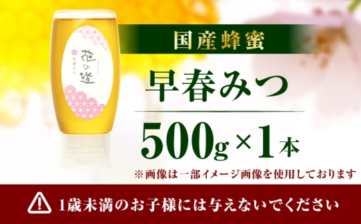 早春みつ 1本（500g）　広川町 / 株式会社九州蜂の子本舗 [AFAI044]