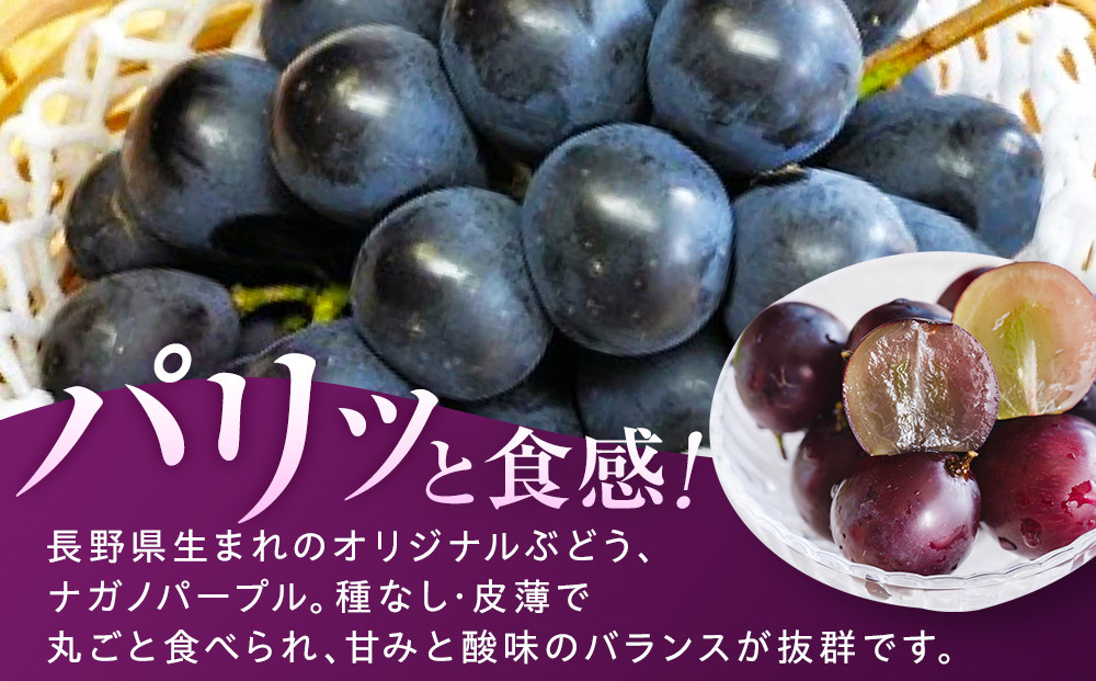 金オ岡村青果株式会社　長野市産 ナガノパープル1kg【2026年8月末以降出荷分】果物 くだもの フルーツ デザート 種無し 大粒 旬 |  ぶどう フルーツ 果物 人気 おすすめ ギフト プレゼント