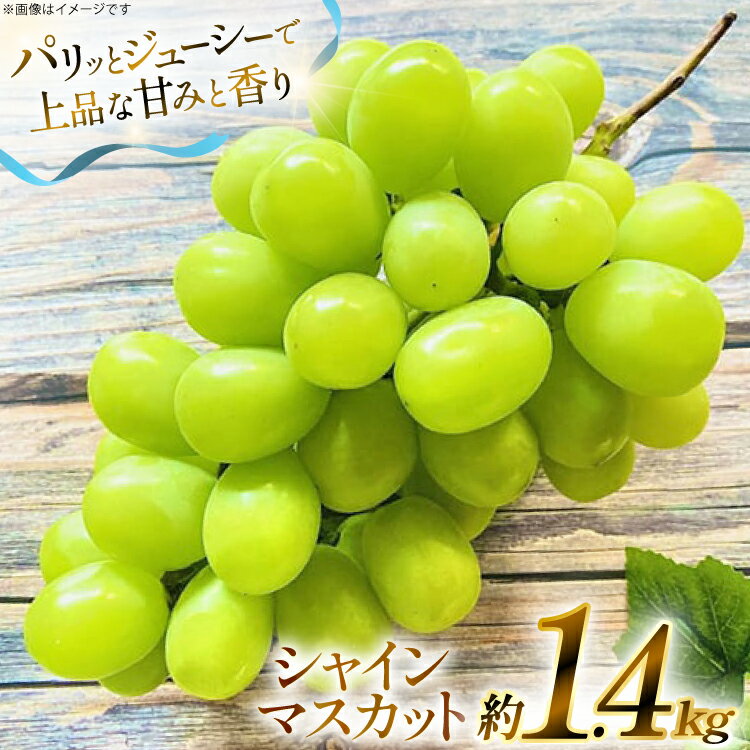 【ふるさと納税】 【期間限定発送】 シャインマスカット 約 1.4kg [もん前の里 山形県 高畠町 tk06ays960004] フルーツ 果物 くだもの ぶどう ブドウ 葡萄 1.4キロ 甘い