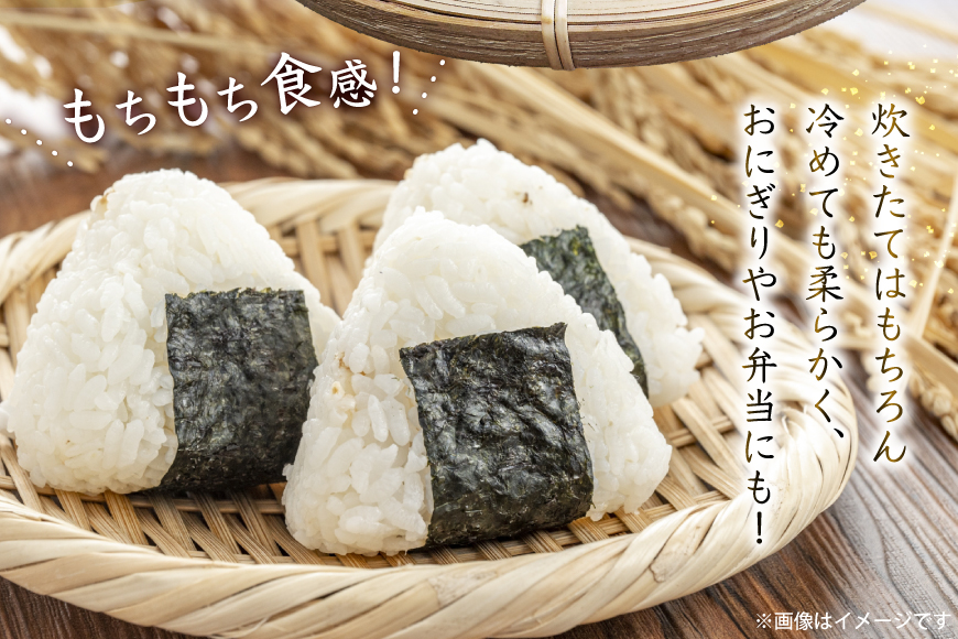 だて正夢 2kg [気仙沼市物産振興協会 宮城県 気仙沼市 20565849] 一等米 ブランド米 白米 精米 ご飯 ごはん コメ こめ 小分け 家庭用