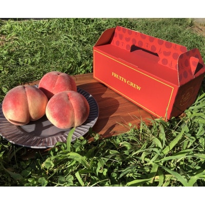 【桜色に輝く高糖度 さくら白桃】本場山梨の品種指定キャンペーンお試し約1kg　8月中旬より順次発送【配送不可地域：離島・北海道・沖縄県・中国・四国・九州】