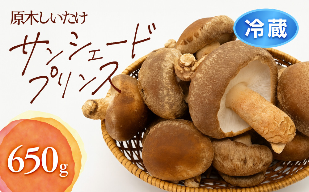 352.【冷蔵】原木しいたけ サンシェードプリンス　※北海道・沖縄・離島 以外への配送　※2025年12月中旬～2026年2月上旬頃に順次発送予定 313726_AU001VC01