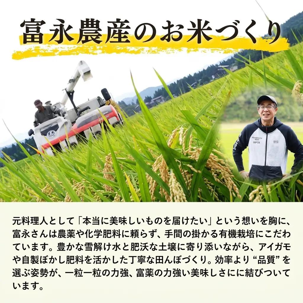 富永農産 コシヒカリ 上越産 コシヒカリ 10kg(5kg×2)